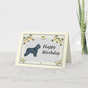 Bouvier DES Flandres - Geburtstag Karte