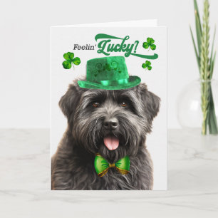 Bouvier des Flandres Hund Glücklicher St. Patricks Feiertagskarte