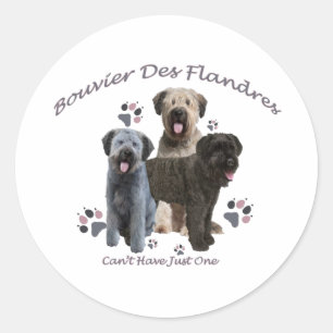 Bouvier des Flandres kann nicht nur einen haben Runder Aufkleber