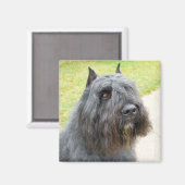 Bouvier des Flandres Magnet (Vorderseite/Rückseite)