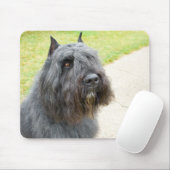 Bouvier des Flandres Mousepad (Mit Mouse)