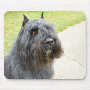 Bouvier DES Flandres Mousepad