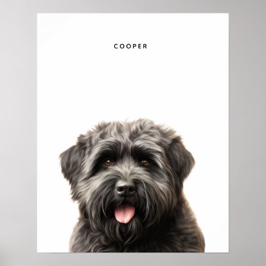 Bouvier Des Flandres Personalisiert Print Poster (Vorne)