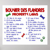 BOUVIER DES FLANDRES PL2 POSTER (Vorne)