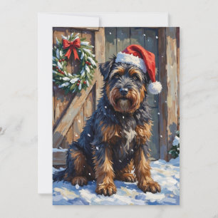 Bouvier des Flandres Weihnachten auf dem schneebed