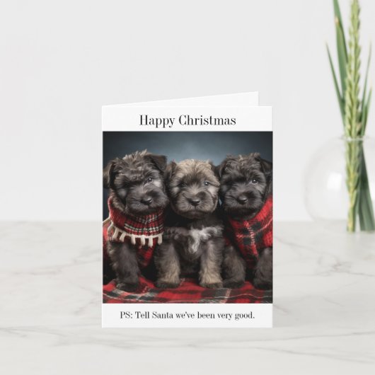 Bouvier des Flandres Welppies Weihnachtskarte Karte (Vorderseite)