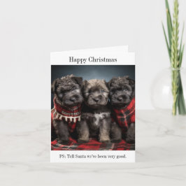 Bouvier des Flandres Welppies Weihnachtskarte Karte