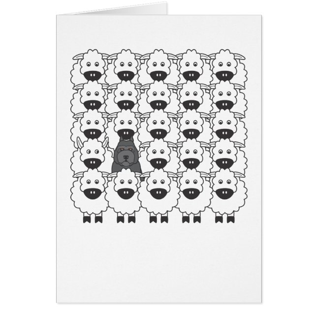 Bouvier in den Schafen (Vorne)