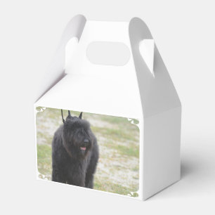 Bouviers DES Flandern Geschenkschachtel