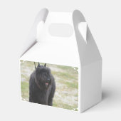 Bouviers des Flanders Geschenkschachtel (Rückseite)