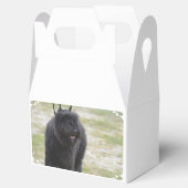 Bouviers des Flanders Geschenkschachtel (Geöffnet)