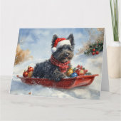 Bouviers Des Flandres Dog in Sledge Weihnachten Karte (Vorderseite)