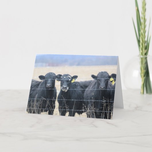 Bovine Bystanders Karte (Vorderseite)