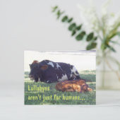 Bovine Lullaby Postkarte (Stehend Vorderseite)