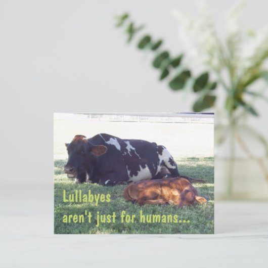 Bovine Lullaby Postkarte (Stehend Vorderseite)