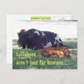 Bovine Lullaby Postkarte (Vorne/Hinten)