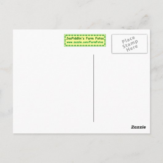 Bovine Lullaby Postkarte (Rückseite)