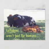 Bovine Lullaby Postkarte (Vorderseite)