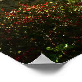 Bow Bridge im Herbst, Central Park, NYC, Mittel Poster (Ecke)