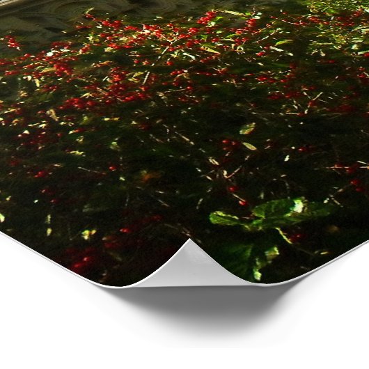 Bow Bridge im Herbst, Central Park, NYC, Mittel Poster (Ecke)