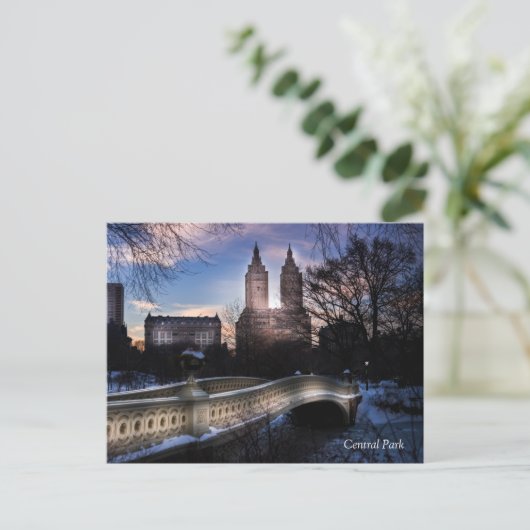 Bow Bridge im Winter Postkarte (Stehend Vorderseite)