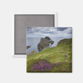 Bow Fiddle Rock, Portknockie, Schottland Magnet (Vorderseite/Rückseite)