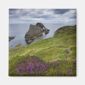 Bow Fiddle Rock, Portknockie, Schottland Magnet (Vorne)