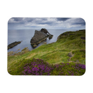 Bow Fiddle Rock, Portknockie, Schottland Magnet