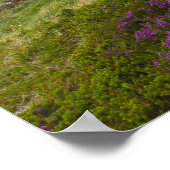 Bow Fiddle Rock, Portknockie, Schottland Poster (Ecke)