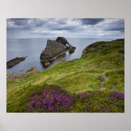 Bow Fiddle Rock, Portknockie, Schottland Poster (Vorne)