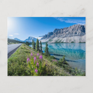 Bow Lake Banff Bergreflexionen Postkarte
