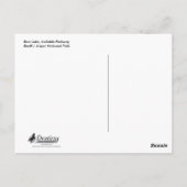 Bow Lake & Glacier Postkarte (Rückseite)