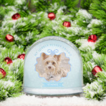 Bow Ribbon Glittering Pet Memory Foto Blau