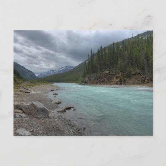 Bow River Postkarte (Vorderseite)