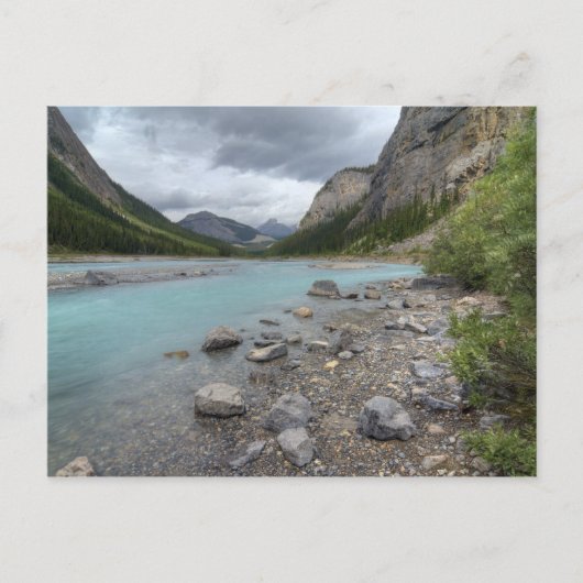 Bow River Postkarte (Vorderseite)