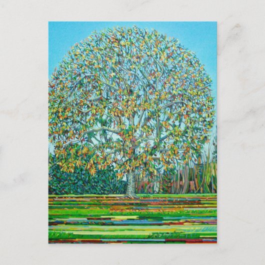Bow Tree Herbst Postkarte (Vorderseite)