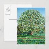 Bow Tree Spring Postkarte (Vorne/Hinten)