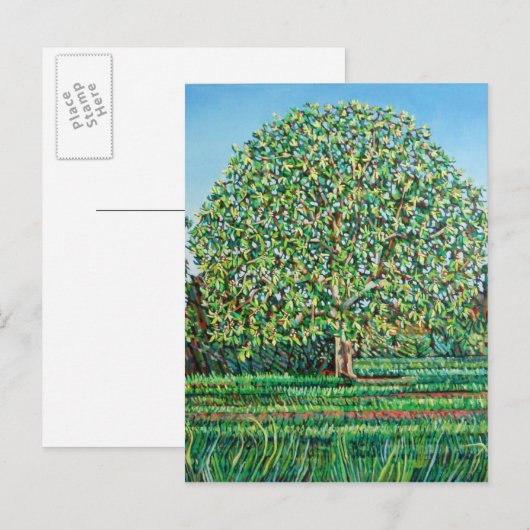 Bow Tree Spring Postkarte (Vorne/Hinten)