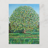 Bow Tree Spring Postkarte (Vorderseite)