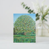 Bow Tree Spring Postkarte (Stehend Vorderseite)