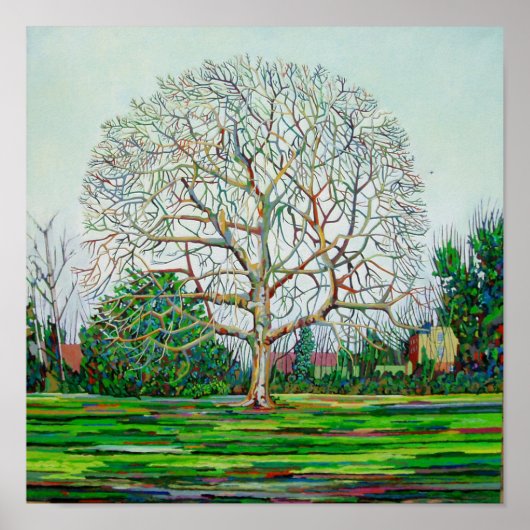 Bow Tree Winter Poster (Vorne)