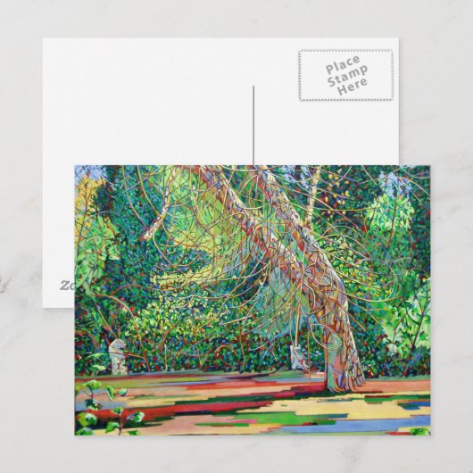 Bow Trench 1 Postkarte (Vorne/Hinten)