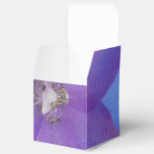 Bowen Geschenkschachtel (Geöffnet)