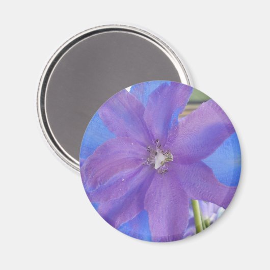 Bowen Magnet (Vorderseite/Rückseite)