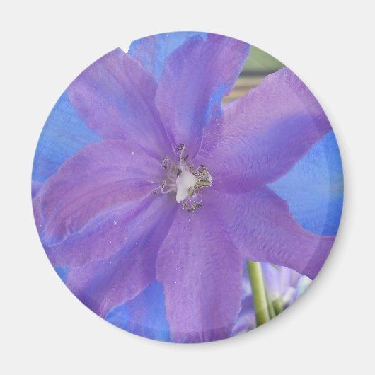 Bowen Magnet (Vorne)