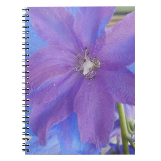 Bowen Notizblock (Vorderseite)