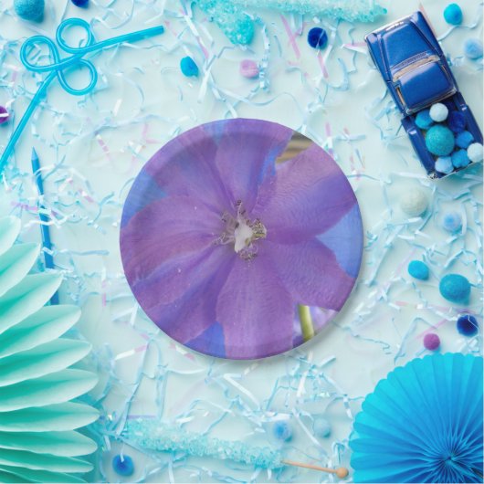 Bowen Pappteller (Party)