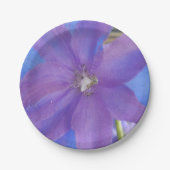 Bowen Pappteller (Vorderseite)