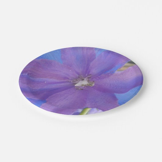 Bowen Pappteller (Schrägansicht)