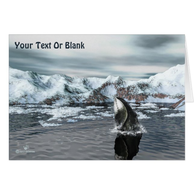 Bowhead Whale (Vorderseite (Horizontal))